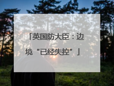 英国防大臣：边境“已经失控”