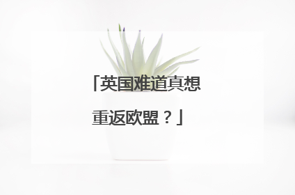 英国难道真想重返欧盟？
