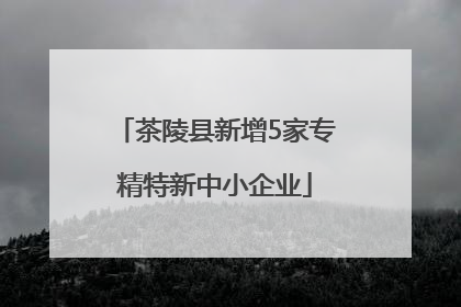 茶陵县新增5家专精特新中小企业