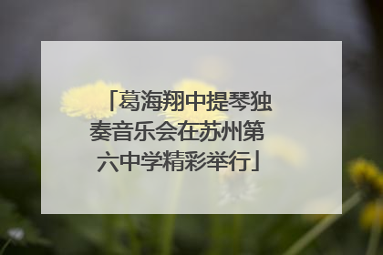 葛海翔中提琴独奏音乐会在苏州第六中学精彩举行