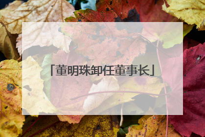 董明珠卸任董事长