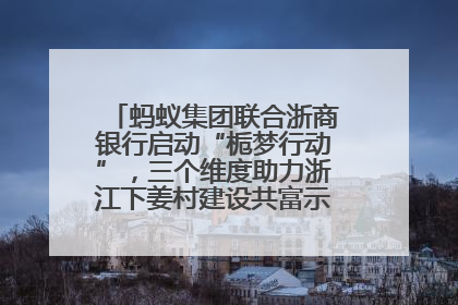 蚂蚁集团联合浙商银行启动“栀梦行动”，三个维度助力浙江下姜村建设共富示范区示范点