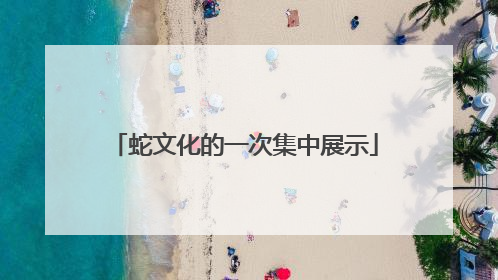 蛇文化的一次集中展示