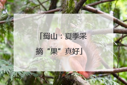 蜀山：夏季采摘“果”真好