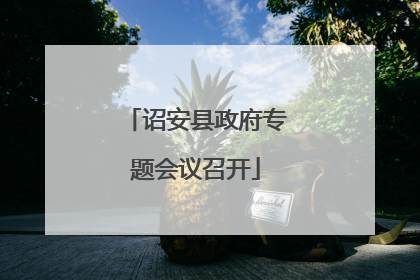 诏安县政府专题会议召开