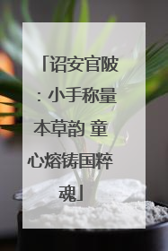 诏安官陂：小手称量本草韵 童心熔铸国粹魂