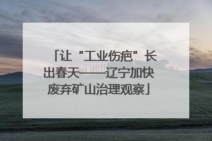 让“工业伤疤”长出春天——辽宁加快废弃矿山治理观察