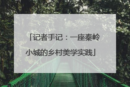 记者手记：一座秦岭小城的乡村美学实践