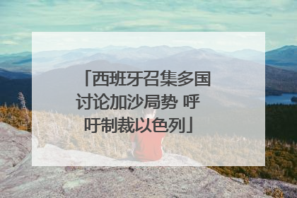 西班牙召集多国讨论加沙局势 呼吁制裁以色列