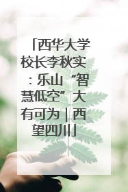 西华大学校长李秋实：乐山“智慧低空”大有可为｜西望四川