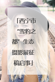 西宁市“雪豹之都”生态摄影展征稿启事
