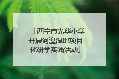 西宁市光华小学开展河湟湿地项目化研学实践活动
