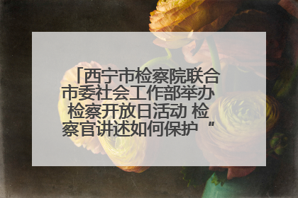 西宁市检察院联合市委社会工作部举办检察开放日活动 检察官讲述如何保护“少年的你”