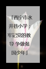 西宁市水井巷小学：牢记党的教导 争做强国少年
