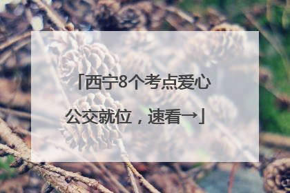 西宁8个考点爱心公交就位，速看→