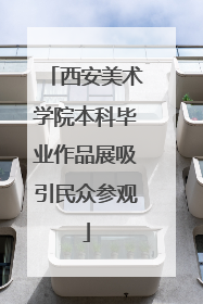 西安美术学院本科毕业作品展吸引民众参观