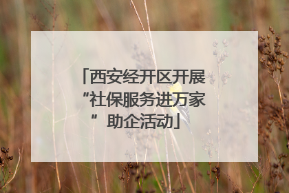 西安经开区开展“社保服务进万家”助企活动
