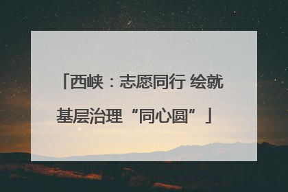 西峡：志愿同行 绘就基层治理“同心圆”