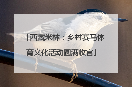西藏米林：乡村赛马体育文化活动圆满收官
