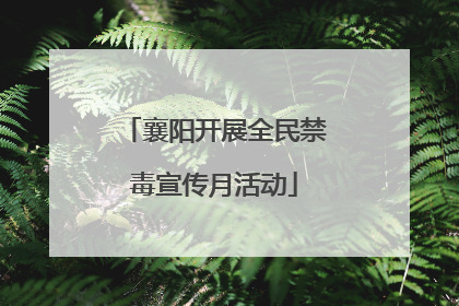襄阳开展全民禁毒宣传月活动