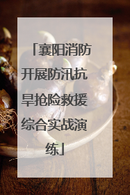 襄阳消防开展防汛抗旱抢险救援综合实战演练