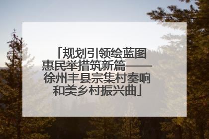 规划引领绘蓝图 惠民举措筑新篇——徐州丰县宗集村奏响和美乡村振兴曲