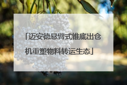 迈安德悬臂式锥底出仓机重塑物料转运生态