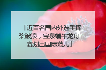 近百名国内外选手挥桨破浪，宝泉端午龙舟赛划出国际范儿