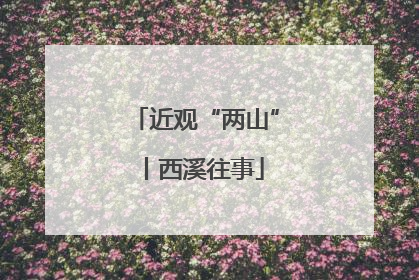 近观“两山”丨西溪往事