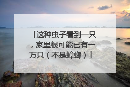 这种虫子看到一只，家里很可能已有一万只（不是蟑螂）