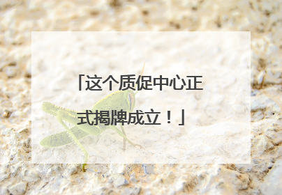 这个质促中心正式揭牌成立！