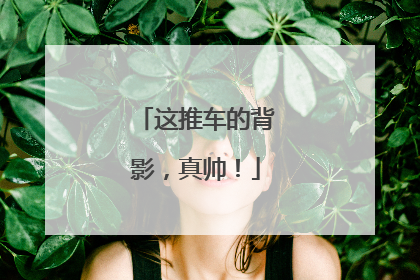 这推车的背影，真帅！