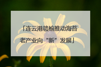 连云港赣榆推动海苔老产业向“新”发展