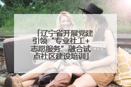 辽宁省开展党建引领“专业社工+志愿服务”融合试点社区建设培训