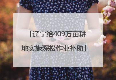 辽宁给409万亩耕地实施深松作业补助