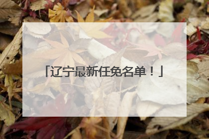 辽宁最新任免名单！