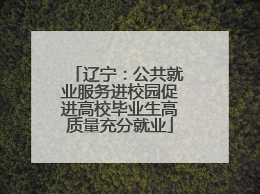 辽宁：公共就业服务进校园促进高校毕业生高质量充分就业