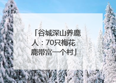 谷城深山养鹿人：70只梅花鹿带富一个村