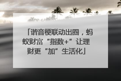 谐音梗联动出圈，蚂蚁财富“指数+”让理财更“加”生活化