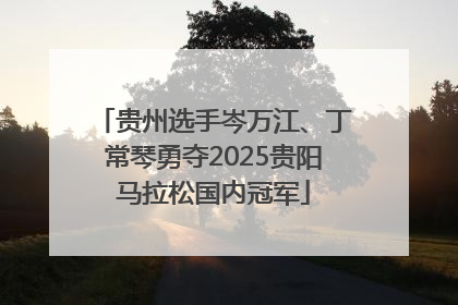 贵州选手岑万江、丁常琴勇夺2025贵阳马拉松国内冠军