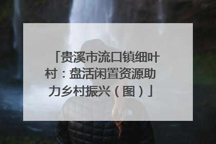 贵溪市流口镇细叶村：盘活闲置资源助力乡村振兴（图）