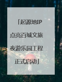 起源地IP点亮百城文旅夜游乐园工程正式启动