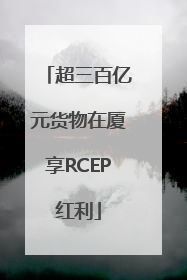 超三百亿元货物在厦享RCEP红利