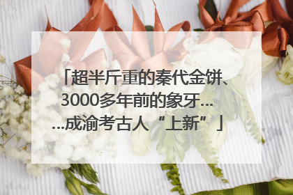 超半斤重的秦代金饼、3000多年前的象牙……成渝考古人“上新”