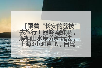 跟着“长安的荔枝”去旅行！品岭南鲜果，解锁山水康养新玩法，上海3小时直飞，自驾高速费优惠