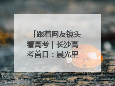 跟着网友镜头看高考｜长沙高考首日：晨光里的奔赴与守望