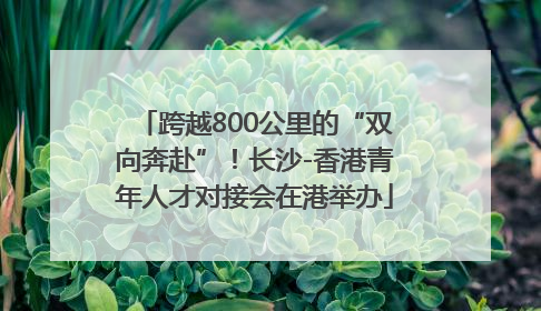 跨越800公里的“双向奔赴”！长沙-香港青年人才对接会在港举办