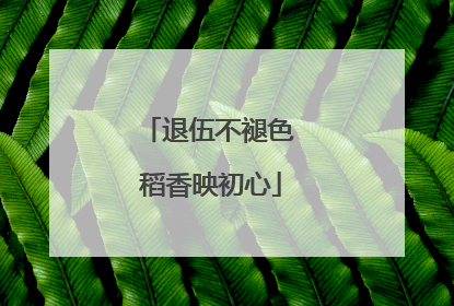 退伍不褪色 稻香映初心
