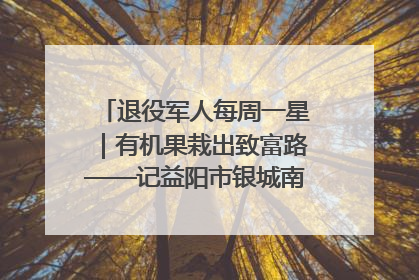 退役军人每周一星｜有机果栽出致富路——记益阳市银城南湖蔬果农民专业合作社总经理晏桂明