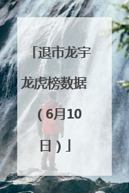 退市龙宇龙虎榜数据（6月10日）
